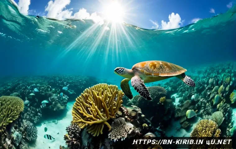 키리바시 해양 보호구역 - Photorealistic underwater view of a protected coral reef in Kiribati, vibrant branching corals and c...